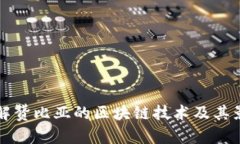 了解赞比亚的区块链技术及其影响